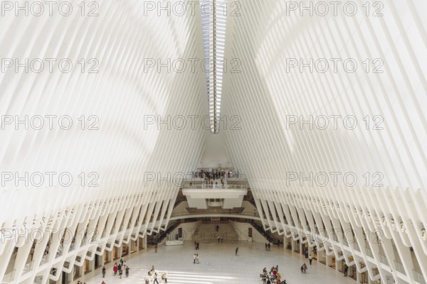 Oculus building, World Trade Center Transportation Hub, New York, USA
