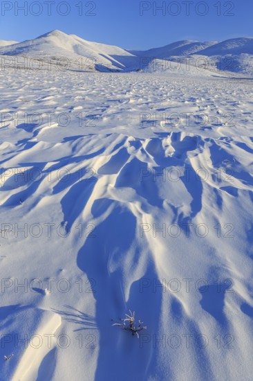Winter mountain landscape, morning light, snow drifts, winter, snow, cold, Dempster Highway, Yukon, Canada