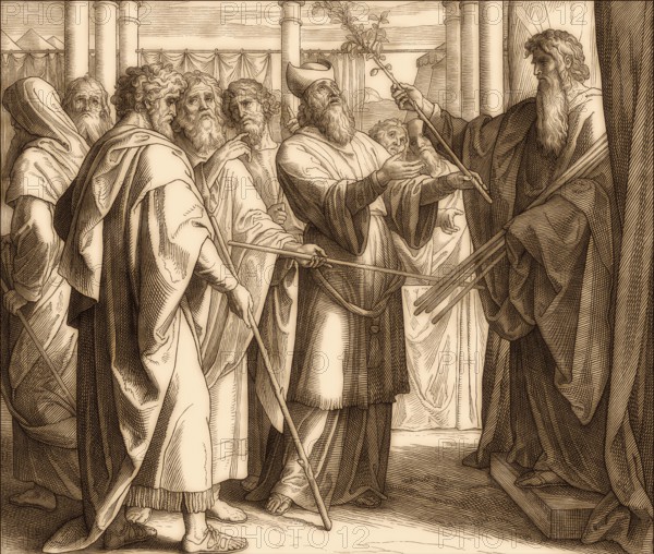 The Blossoming of Aaron's Rod, Old Testament, by Julius Schnorr von Carolsfeld, 1860
