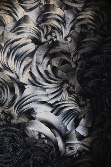 Detailed image of salicylic acid microcrystals, captured using a microscope, showcasing intricate, feather-like patterns