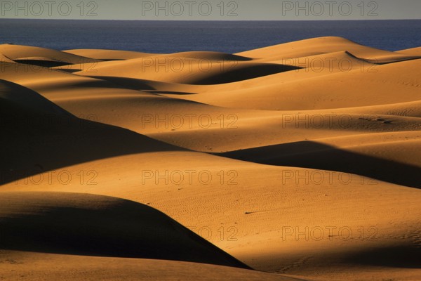 Gran Canaria, dunes, dunes, Maspalomas, sand dunes, sea, Gran Canaria, Canary Islands, Spain