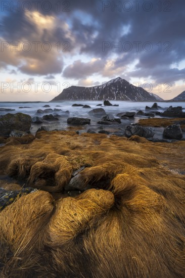 Coast near Skagsanden beach, Flakstad, Lofoten, Norway