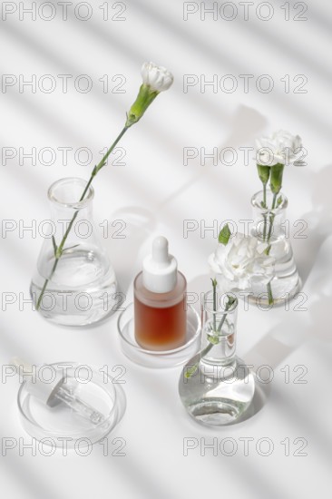 From above a serene setup of skin care products and fresh flowers in laboratory glassware, captured under soft lighting and shadows. Ideal for highlighting the purity and natural elements of beauty products