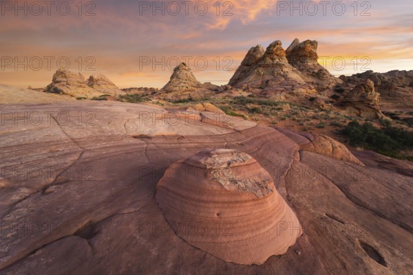 Golden sunset lighting the unique rock formations of Coyote Buttes in the Paria Canyon-Vermilion Cliffs Wilderness, Arizona, USA, highlighting the area's dramatic landscape