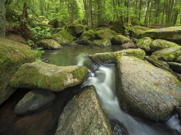 The Höllbach in the Hölle Nature Reserve flows through green forest and large moss-covered rocks, near Rettenbach, Upper Palatinate, Bavaria, Germany