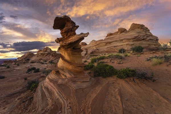 A stunning sunset casts warm hues over the distinctive swirls and layers of sandstone rock formations at Coyote Buttes in the Paria Canyon-Vermilion Cliffs Wilderness, Arizona, USA