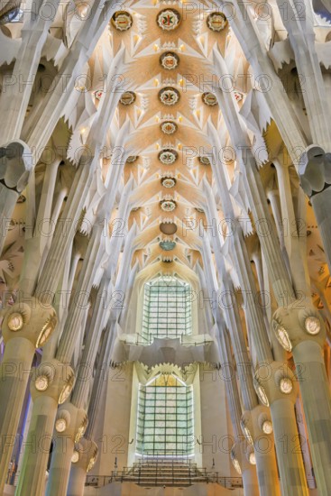 Interior of the Familia Sagrada, religion, Christianity, by the architect Antonio Gaudi in Barcelona, Spain