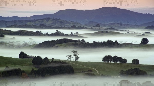 New Zealand, North Island in fog, landscape, fog, mountains, North Island, New Zealand