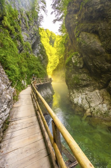 Scenic view of a wooden walkway along the radovna river, surrounded by steep cliffs and lush vegetation in vintgar gorge near bled, slovenia
