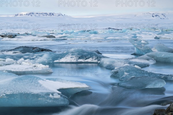 Tranquil beauty of blue icebergs resting on the black sands of Diamond Beach, Iceland. The winter atmosphere highlights nature's striking contrast