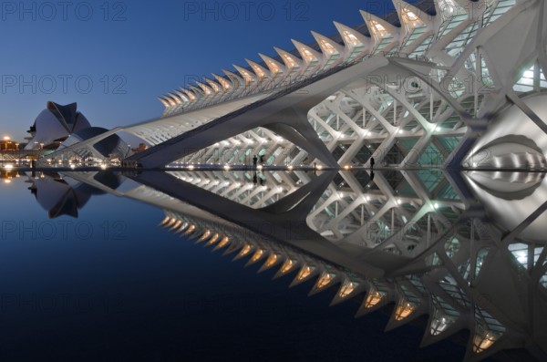 Stunning evening view of the City of Arts and Sciences in Valencia, Spain, showcasing its futuristic architecture and reflections in the serene water, illuminated against dusk