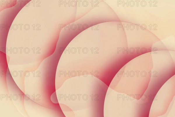 Seamless blend of warm pink and peach hues in soft wave-like abstract patterns, ideal for vibrant backgrounds and creative projects
