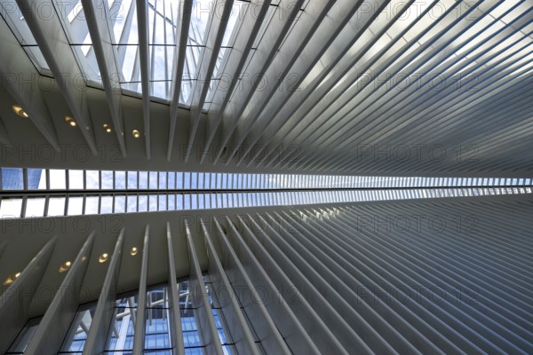 Modern architectural interior featuring repeated linear patterns and daylight streaming through the overhead structure, highlighting the dynamics of design and natural light interaction in a New York building
