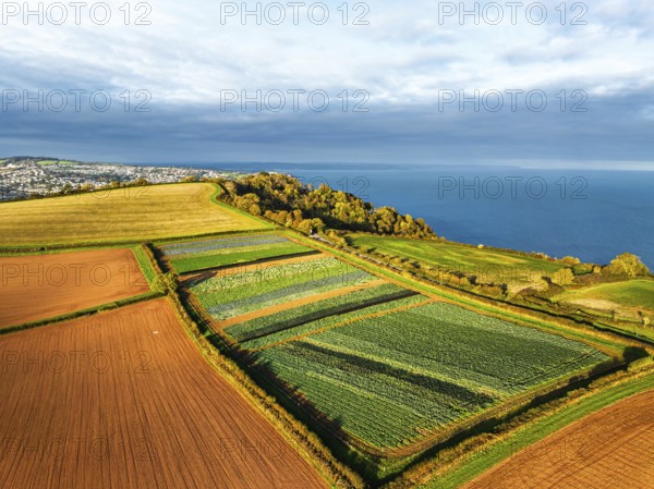 Fields and Farms at evening sun from a drone, Shaldon, Torquay, Devon, England, United Kingdom