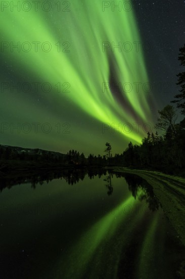 Northern Lights (Aurora borealis) reflected in a lake, Rago National Park, Nordland, Norway, Scandinavia