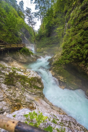 Breathtaking view of the turquoise radovna river carving its way through the stunning vintgar gorge, a natural wonder near bled, slovenia