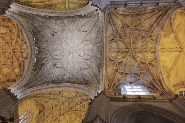 Elaborately decorated Gothic ceiling of a cathedral, Seville, Andalusia, Spain