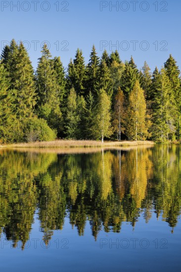 Glorious autumn day on the shores of the moorland lake Étang de la Gruère in the canton of Jura, Switzerland