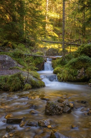 View of a small waterfall of a torrent, Dolomites, Puez-Geisler nature park Park, St. Magdalena, Funes, Funes, Villnöss Valley, South Tyrol, Italy