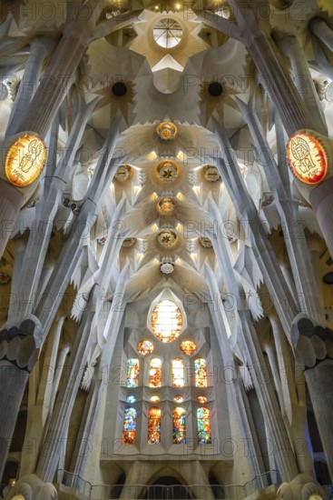 Nave, ceiling vault, columns, Sagrada Familia, Basilica by Antoni Gaudi, Barcelona, Catalonia, Spain