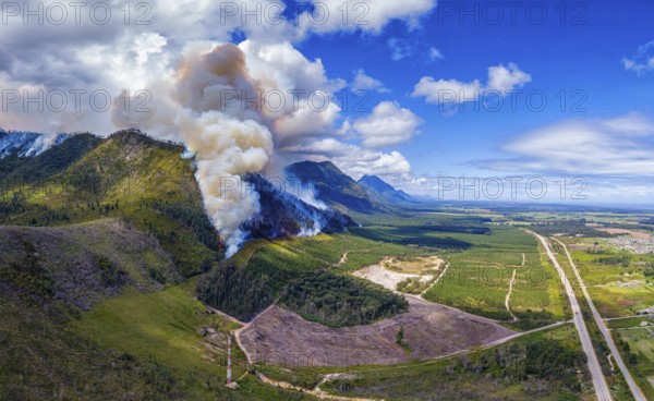 Landscape in South Africa, forest fire, fire, smoke, flames, burning forest, N2, Kou-Kamma Ward 6, Thornham, Kou-Kamma Local Municipality, Eastern Cape, South Africa