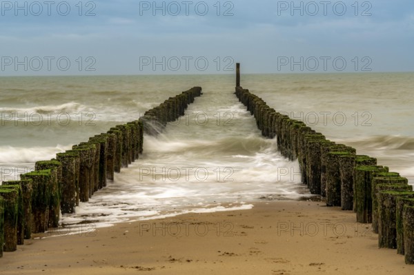 Coastal protection, through wooden posts, paalhoofden, on the beach, breakwater, the piles, some of which are rammed into the sandy soil in double rows, slow down the waves and ocean currents and thus slow down the flow rate of seawater, so less sand is washed away from the stand, near Domburg, Walcheren peninsula in the Dutch province of Zeeland