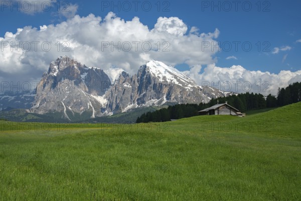 Stunning view of Alpe di Siusi in the Dolomites, Italy, showcasing lush green meadows under a clear blue sky and majestic snow-capped peaks. Perfect for nature lovers