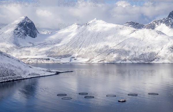 Aerial view of a fish farm in the waters of Husoy, Norway, surrounded by dramatic snow-covered mountains. The circular fish pens contrast with the serene arctic fjord, creating a unique scene