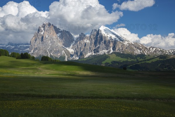 Alpe di Siusi in the Dolomites mountains of Italy offers a stunning landscape. Verdant meadows stretch beneath majestic peaks, showcasing nature's beauty and tranquility