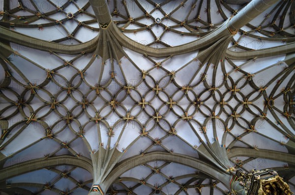 Interior view, mesh vault, vaulted ceiling in the central nave, Lutheran City Church, Bad Wimpfen, Kraichgau, Baden-Württemberg, Germany