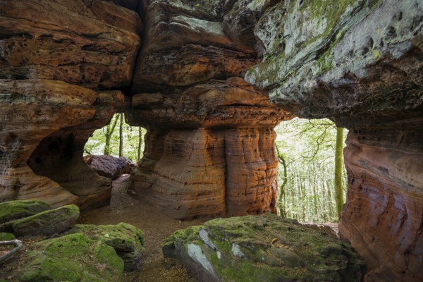 Sandstone Cliffs, Old Castle Rock, near Eppenbrunn, Palatinate Forest, Rhineland-Palatinate, Germany