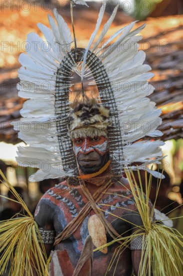 Portrait, warrior with feather decoration and body painting in the village of Upovia, Lake Murray, Western Province, Papua New Guinea