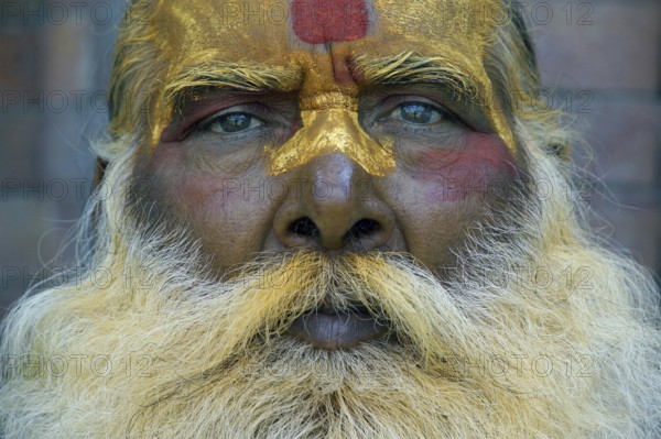 Nepal, Sadhu, Sadhus, Portrait of a Holy Man, Himalayas, Himalayas, Nepal