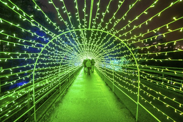 Park lights, events in winter, in the Grugapark in Essen, many different light installations, across the park, attract many thousands of visitors, Lichttunnel North-Rhine Westphalia, Germany