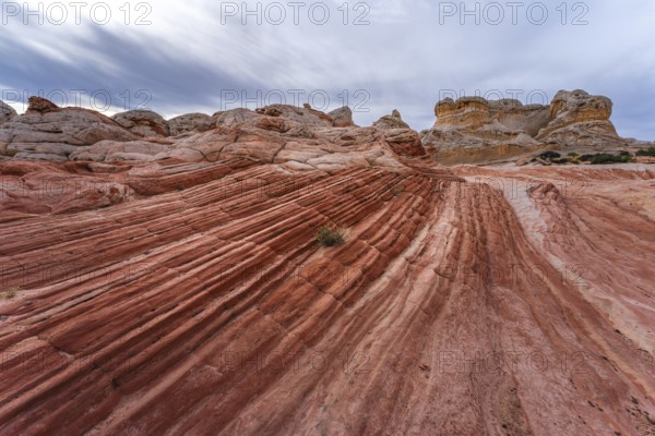 Striking red rock formations and swirling sandstone patterns dominate the landscape at White Pocket in Arizona, offering a vivid and dramatic display of natural erosion