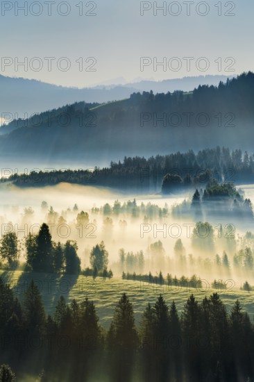 View over the Rothenthurm high moor in the canton of Schwyz, Switzerland