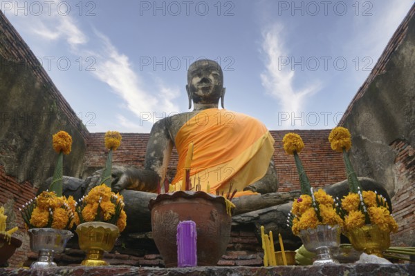Majestic Buddha statue draped in orange cloth, surrounded by yellow flower offerings in Chiang Mai, Thailand. Set against a blue sky within ancient temple walls, it exudes peacefulness in Ayutthaya