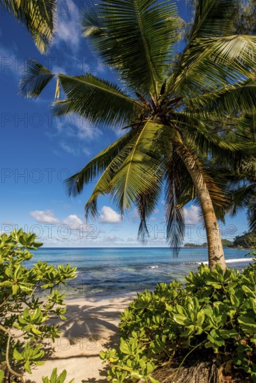 Petit Police Bay Beach, Mahe, Republic of Seychelles, Indian Ocean