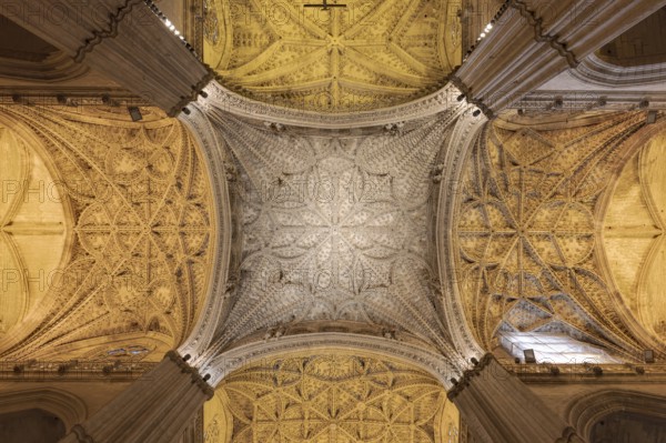 Beautifully decorated vaulted ceiling with complex symmetry and Gothic elements, Seville, Andalusia, Spain