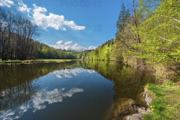 Spring on the river Saale, green forest and clouds are reflected, Burgk, Thuringia, Germany