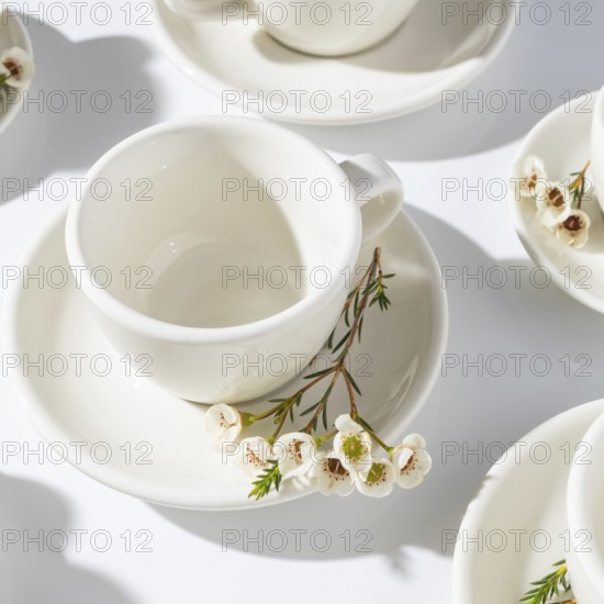 From above a collection of pristine white cups arranged with delicate spring blossom branches on a sunlit surface, showcasing a minimalist aesthetic
