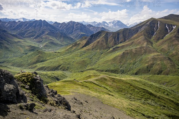 Tundra and mountainous landscape of the Alaska Range, Sable Pass, Denali National Park and Preserve, Alaska, USA