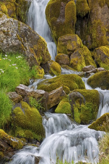 Waterfall, stream, moss, stones, small waterfalls, Iceland, Hnjótur, Vestfirðir, Iceland