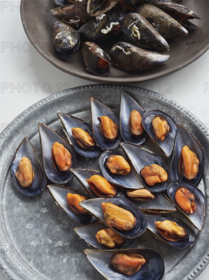 Steamed mussels in open half shells, silver plate on the table and another plate with more mussels in their closed shells