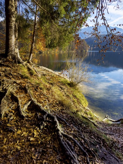 Autumn atmosphere at Hechtsee lake near Kufstein, Tyrol, Austria