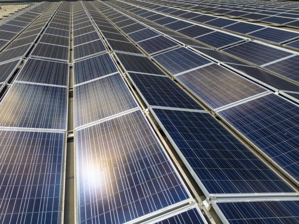 A vast array of solar panels in Switzerland's Brig area efficiently harnesses sunlight. This sustainable energy source highlights modern technology in a scenic setting