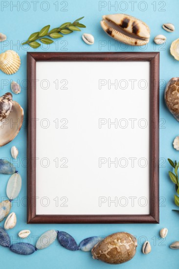 Composition with wooden frame, seashells, green boxwood. mockup on blue pastel background. Blank, top view, still life, flat lay, copy space. travel concept