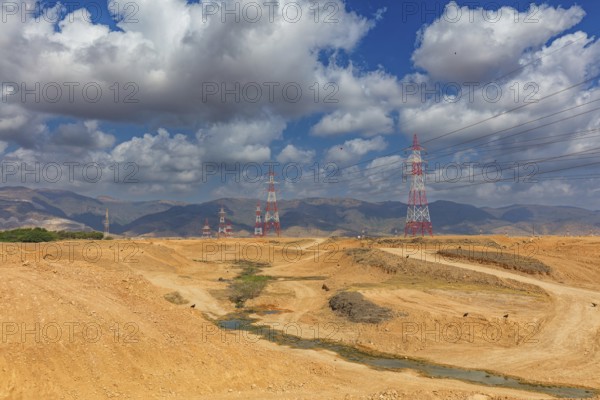 Landscape Oman, Raysut Waste Water Treatment Plant, Tree, Palm, Building, Steppe Eagle, Aquila nipalensis, Aigle des steppes, ¡guila Esteparia, Biotope, Raysut Waste Disposal, Salalah, Dhofar, Oman
