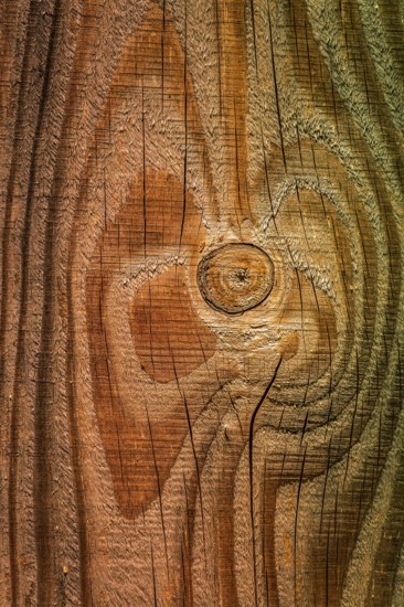 Close up of a plank of wood
