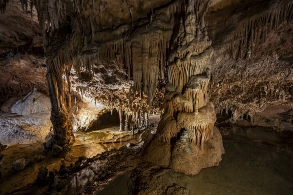 Stalactites and stalagmites, rock formations in a stalactite cave with water basin, Grotta del Fico, Gulf of Orosei, Baunei, Sardinia, Italy